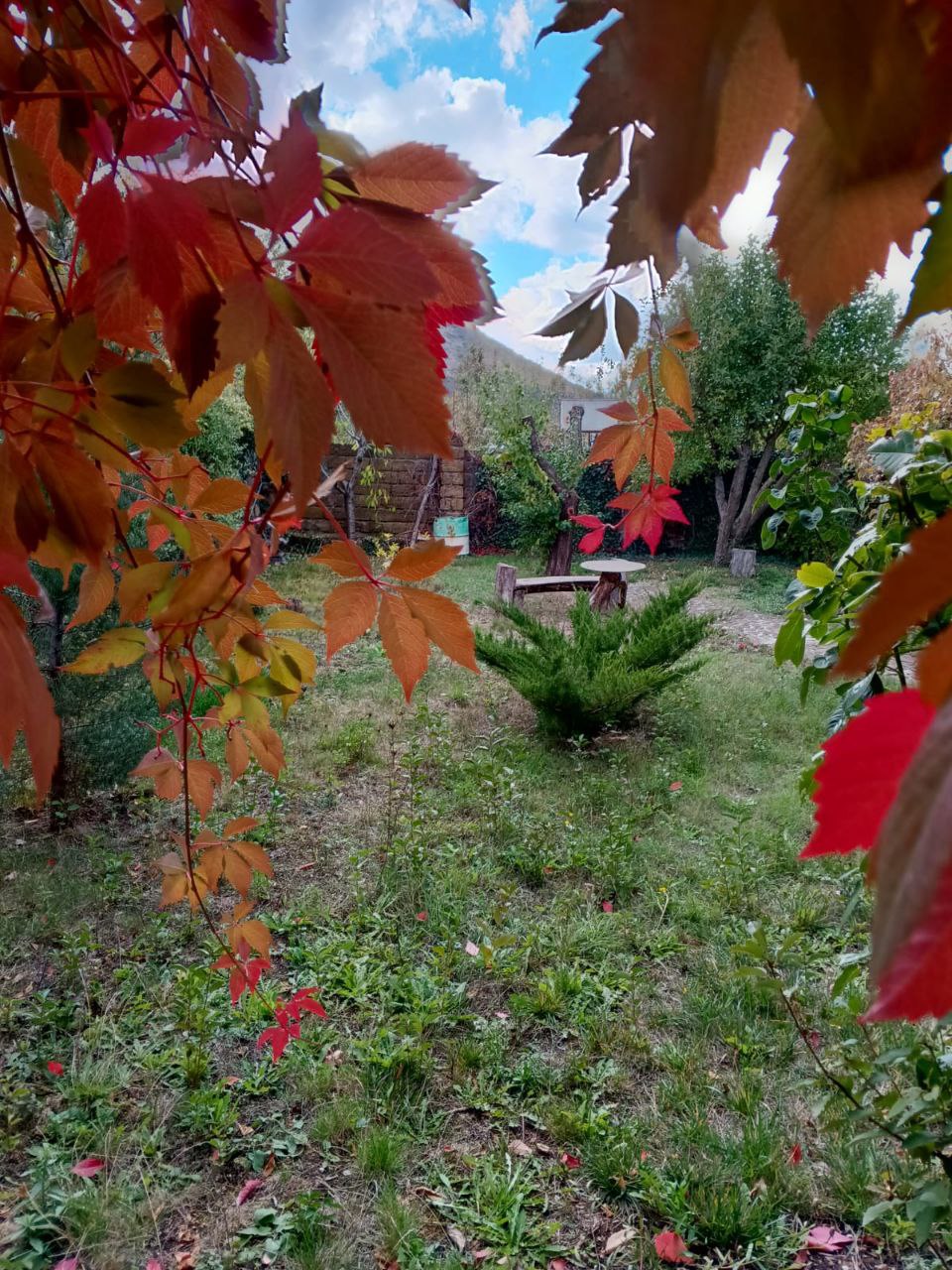 Диалог с осенью