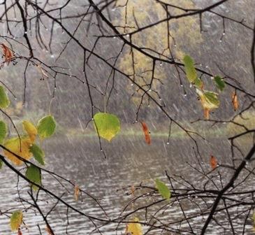 Неужели закончилось лето