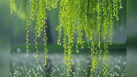 Память о Людях хороших всегда хороша... Татьяна 11