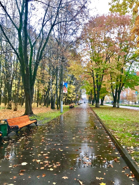 Тихий шепот дождя