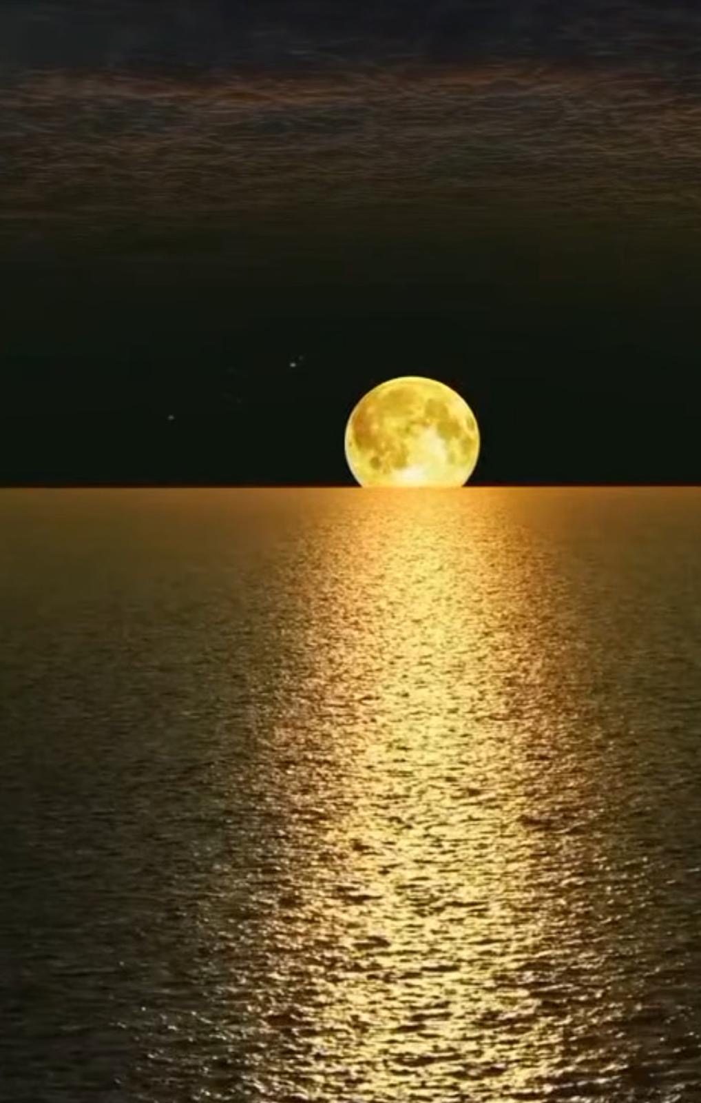 Горячие тела