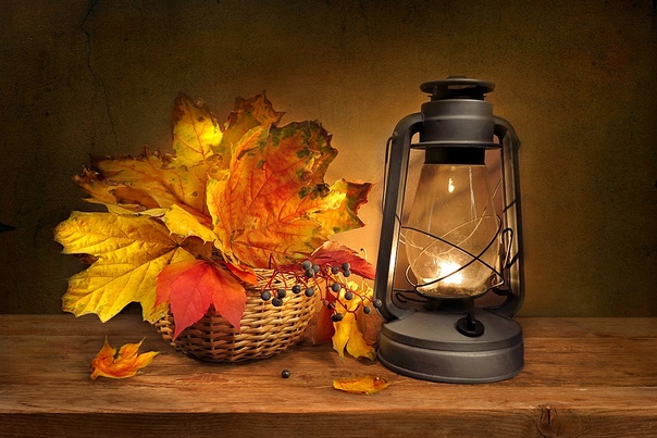 Всё не так на войне