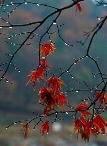 Бубнит все тот же недовольный дождик