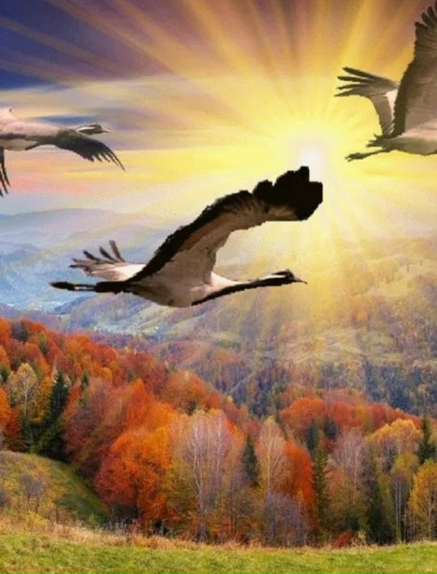 На сцене Осени меняют декорации