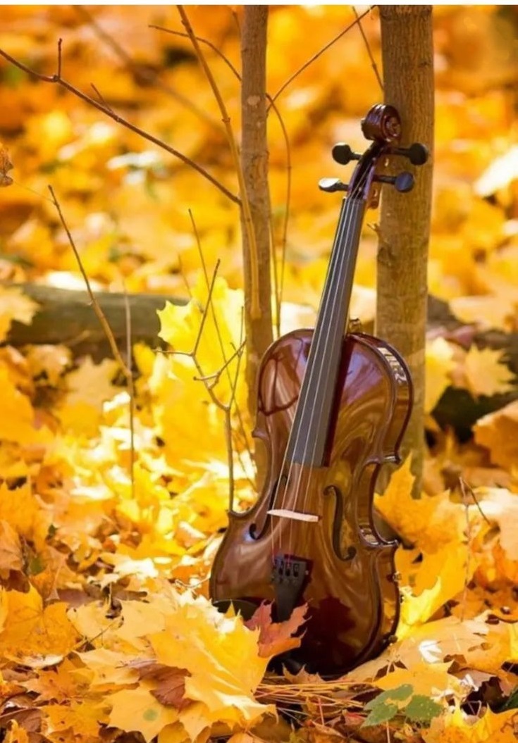 Сыграй на скрипке, Осень золотая