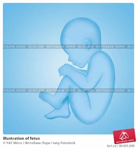 Созидатель