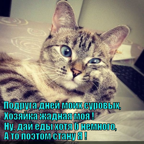 Конкурс Пародий Бонуфикс 18 -25. Голосование