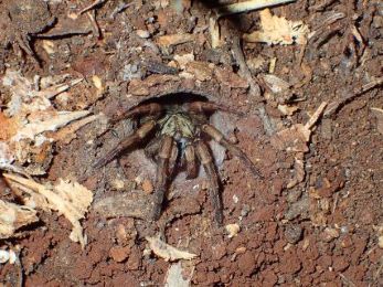 В одном забытом городке