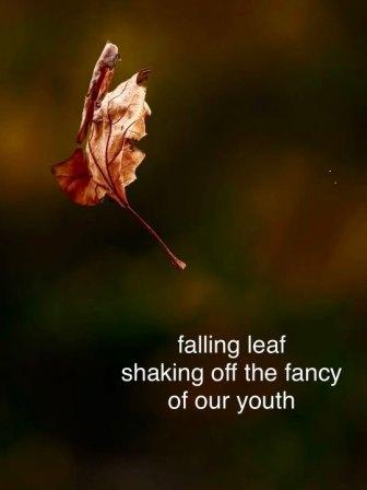 Fancy - Haikus by Jamie Wimberly