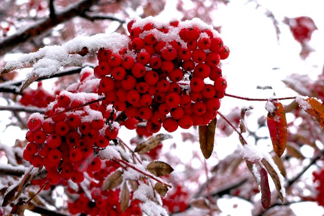 Дыханье осени