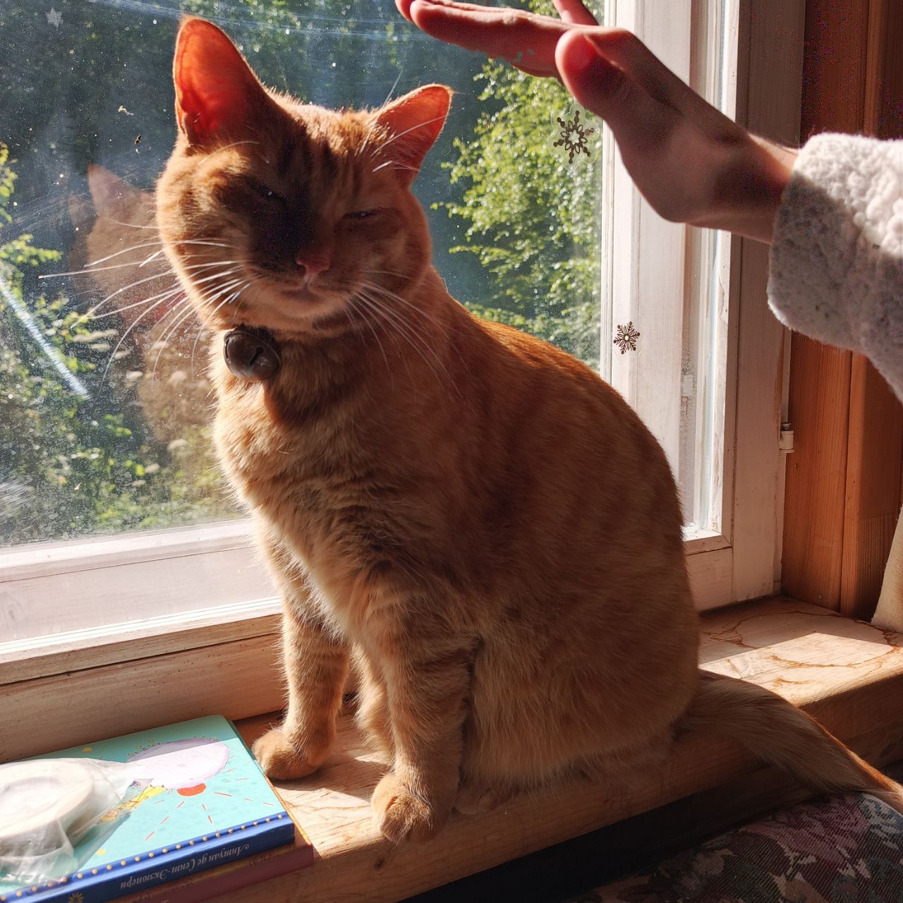 Поэту Левашову, приятное...