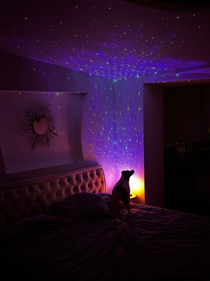 По пространству квартиры рассеялся...