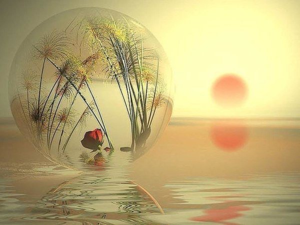 Моя защитная система