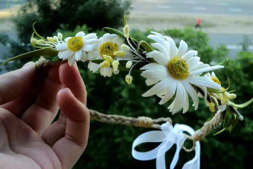 Ромашки милому...