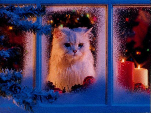 Скоро Новый год!