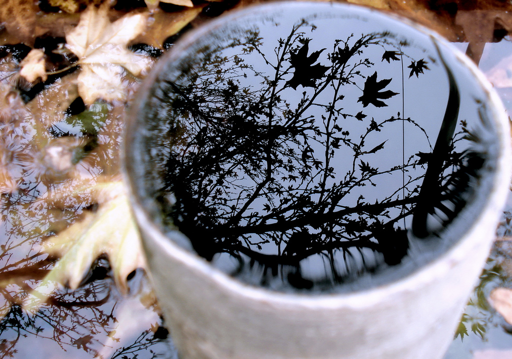 Осень - блажь и маленький каприз