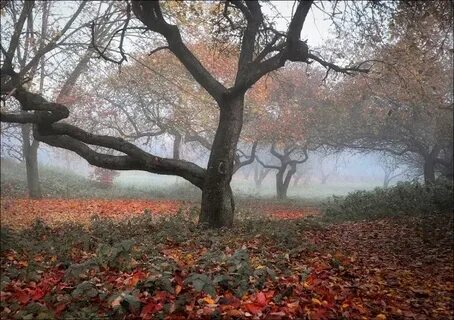 А я люблю октябрь!