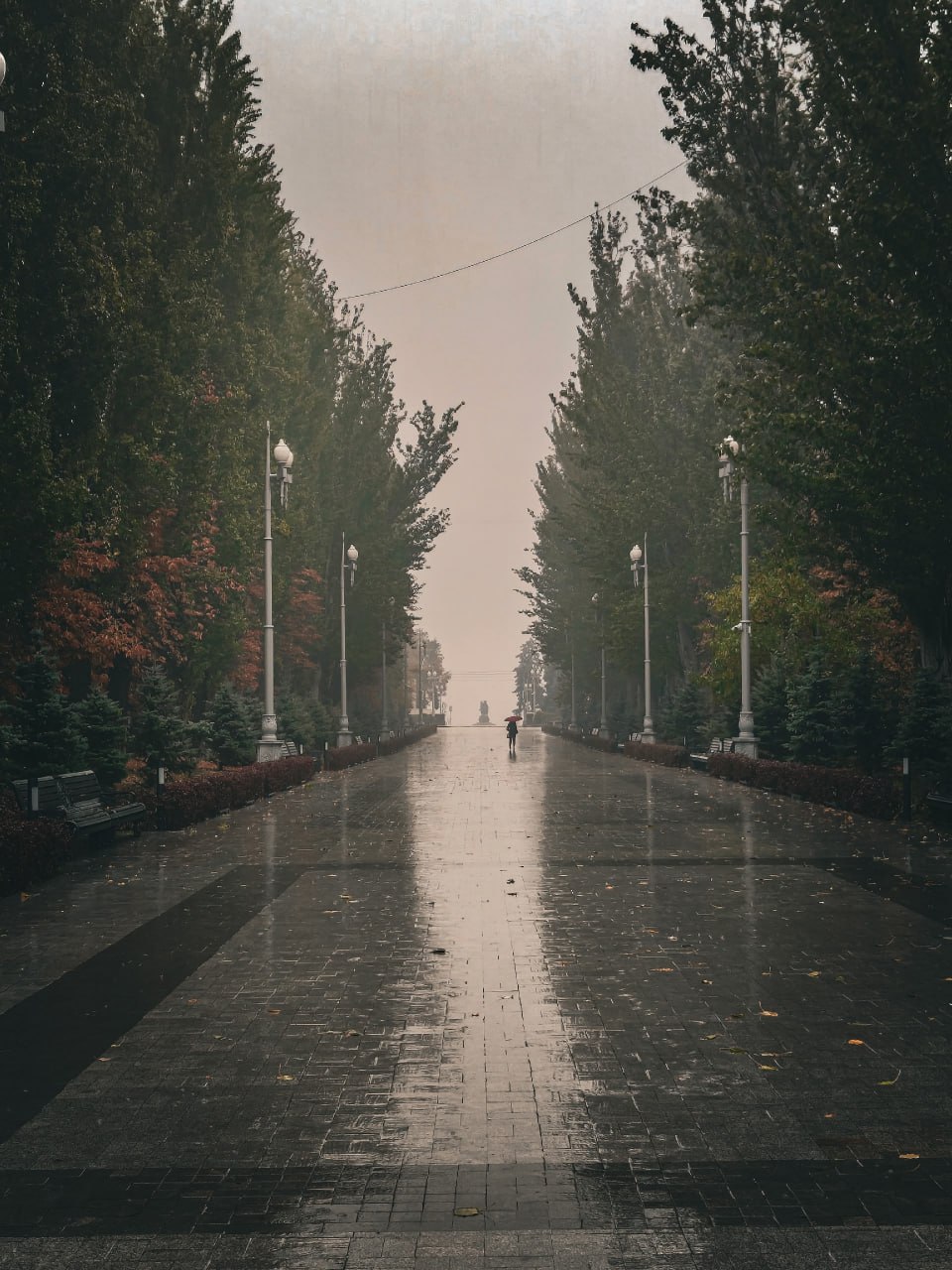 Так уходят поколения с651