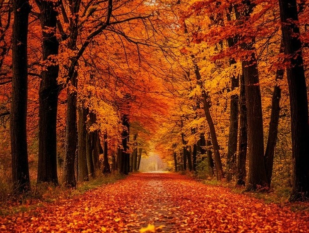 Этой осенью