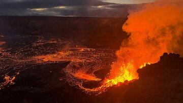 То ли бред, то ли кошмар...