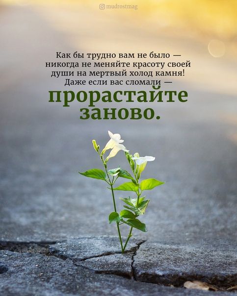 Слово - семечком в душу