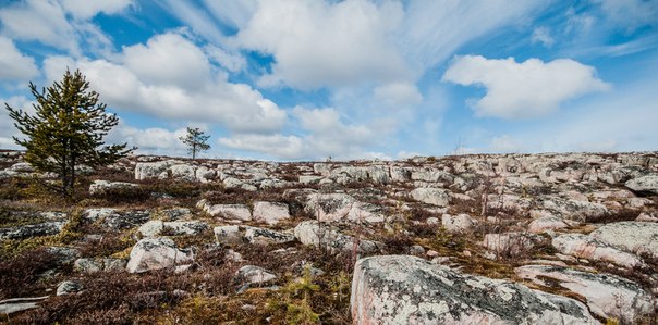 Кемь на сопках эпатажна