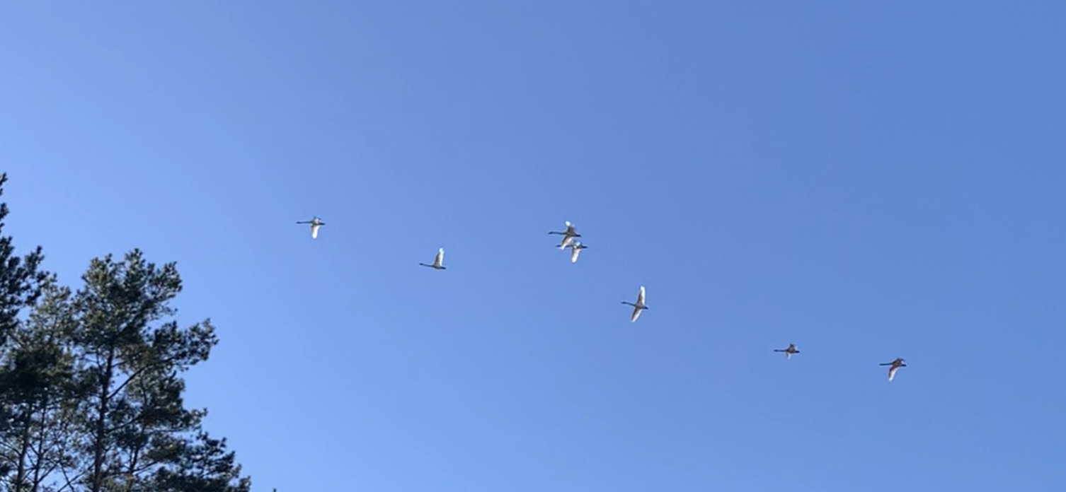 Бабье лето 2025