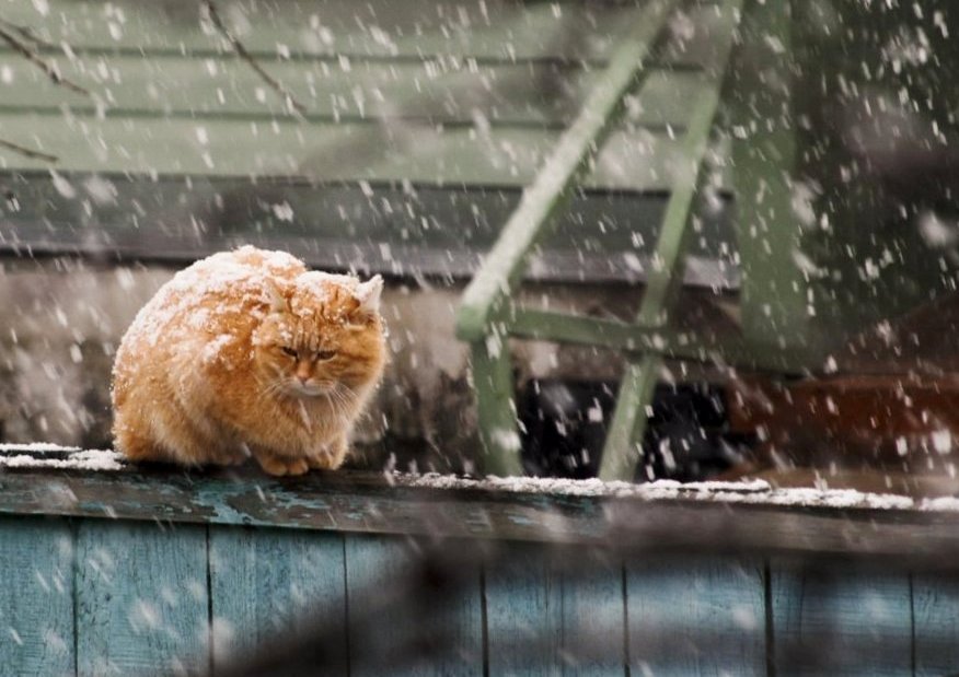 Вечер сегодня дождливый...