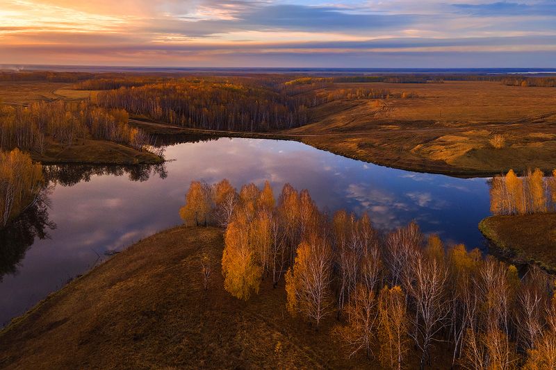 Подарки в осень