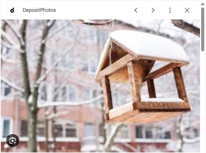 Ворона и синицы