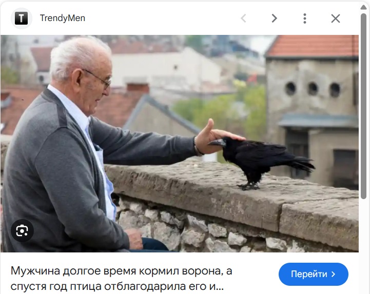 Умная ворона