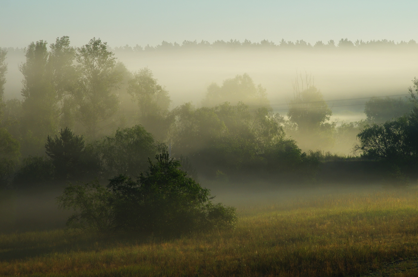 Летнее утро