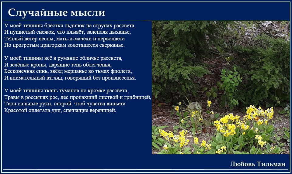У моей тишины