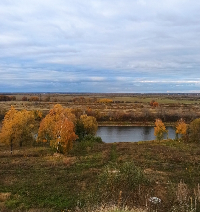 Рязань. Берёзовая грусть...