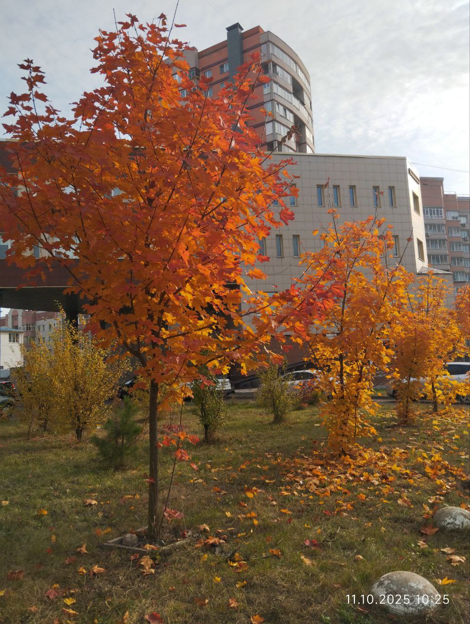 Бабья осень