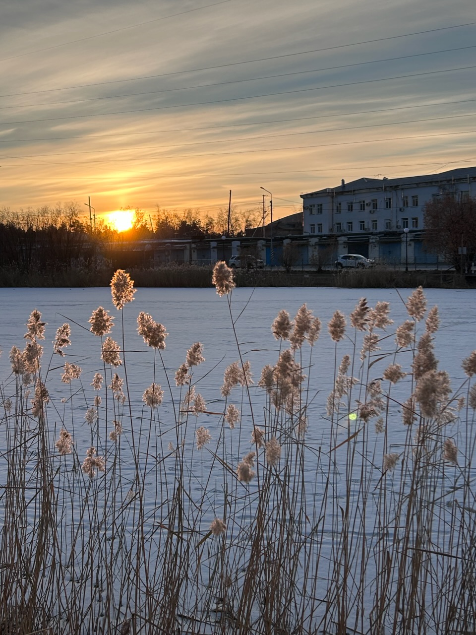 В тишине седой