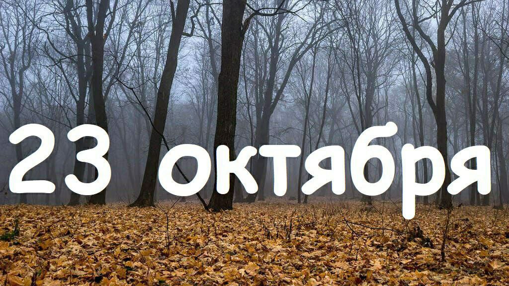 жизнь..