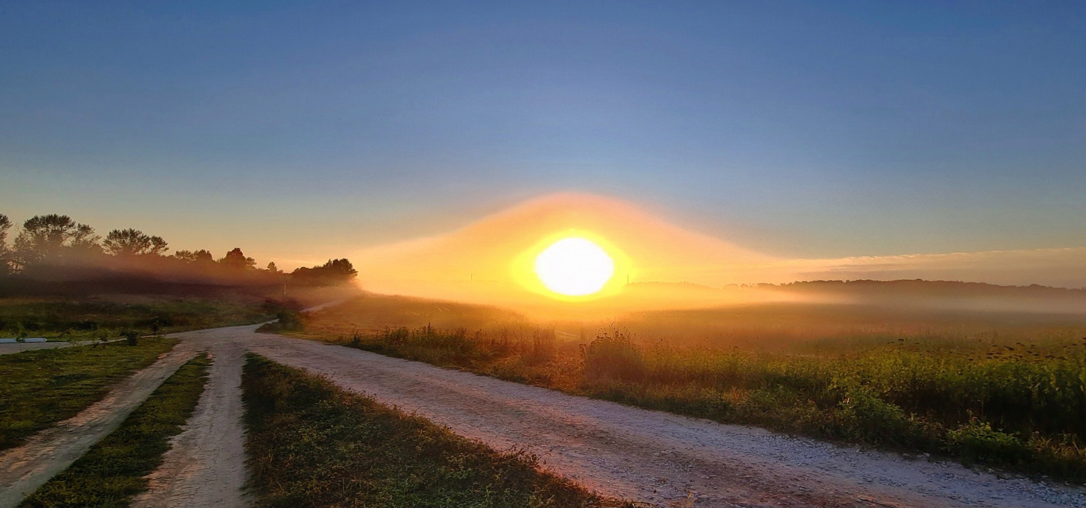 Единственный Ангел