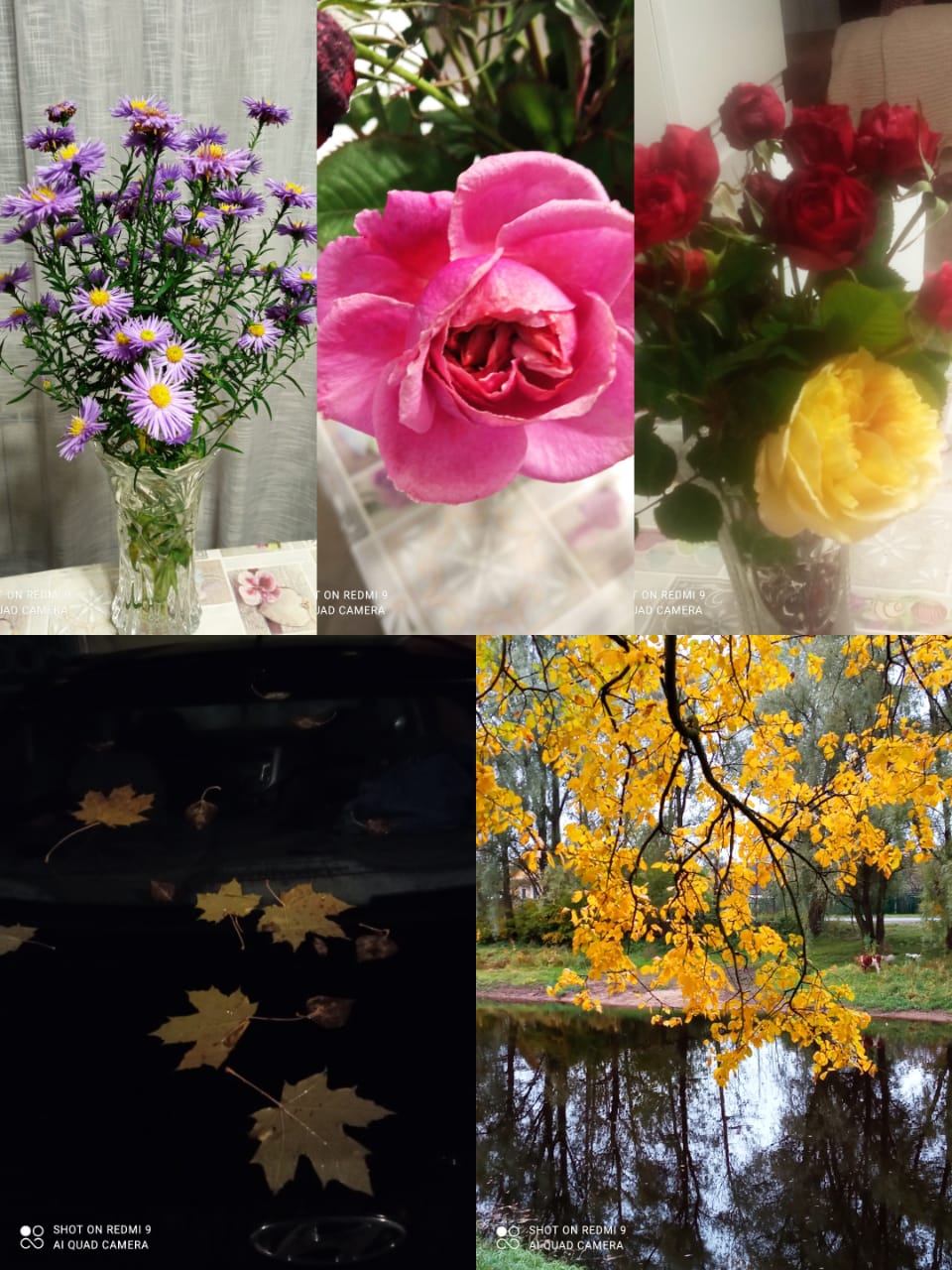 Последние цветы осенние