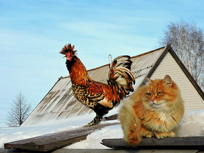 Басни От Эзопа к Эзопу О Закудыкиных Деревнях