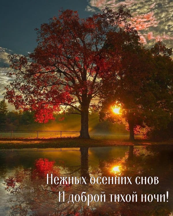 Заходящий солнца шар