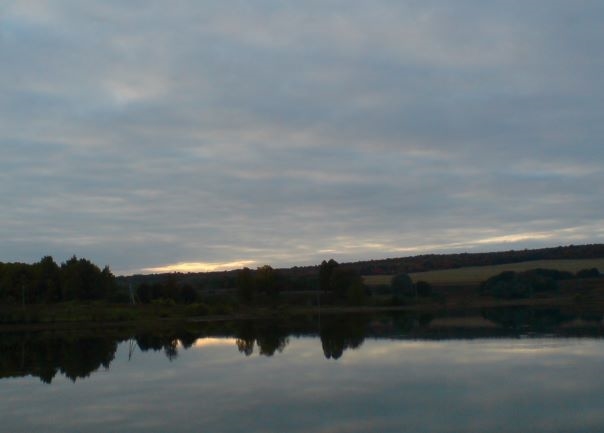 Омонимы. История 8. Права