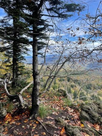 К поездке на плато Лагонаки в 2025 году