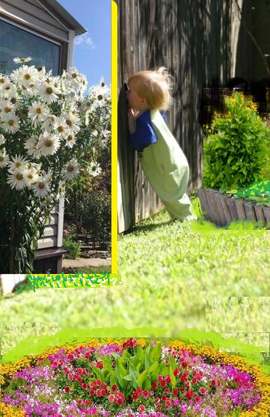 Участник 1. Игра Воображения - 263