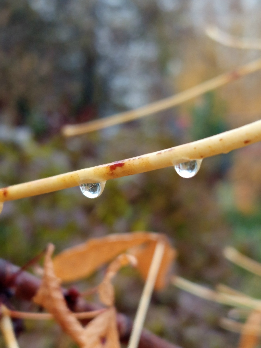 Погода перестала плакать...