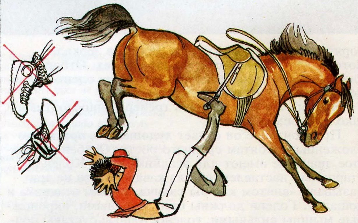 Коль коллеги Вас ехидно называют- не пришей кобыле