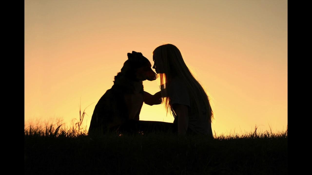 Пересоленное