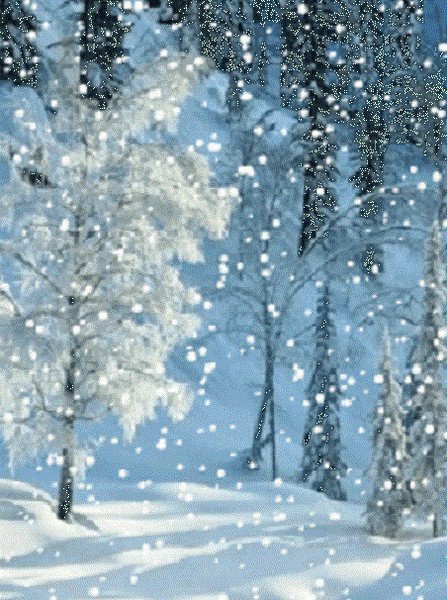 Снегопад, снегопад