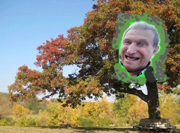 Дубу дубово