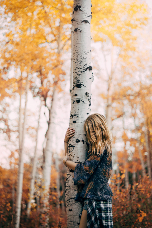 Жизнь даётся нам без справок